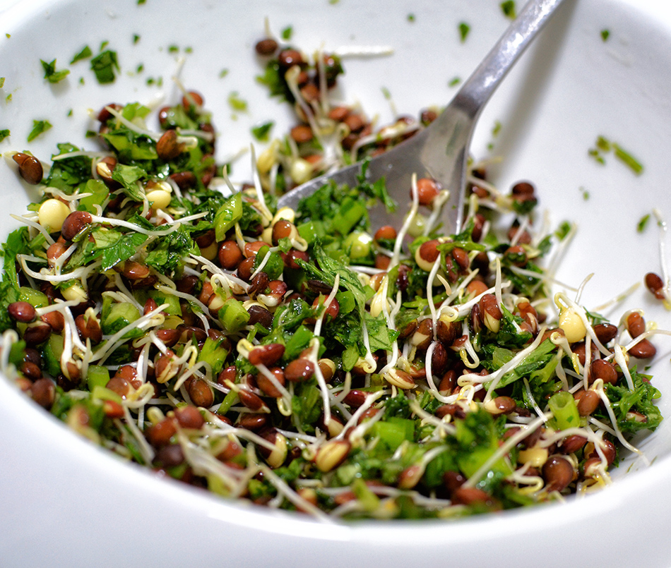 סלט עדשים שחורות מונבטות