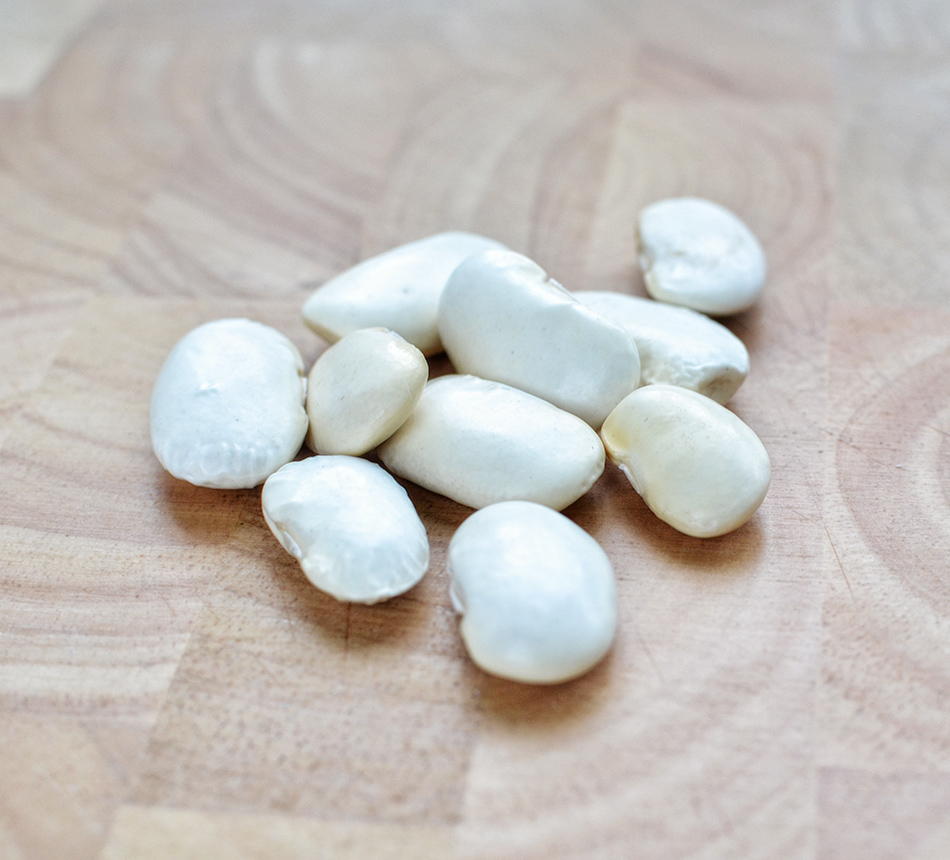 שעועית בובס