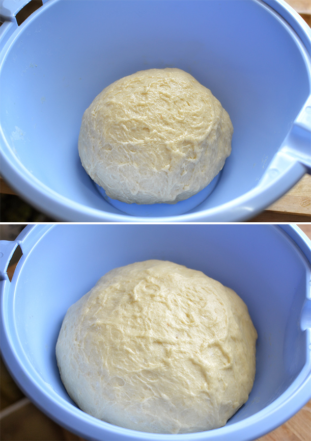 גביניות טבעוניות