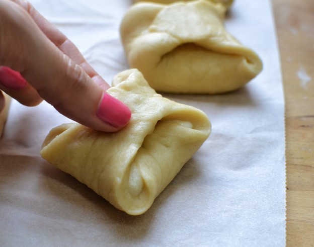 גביניות טבעוניות