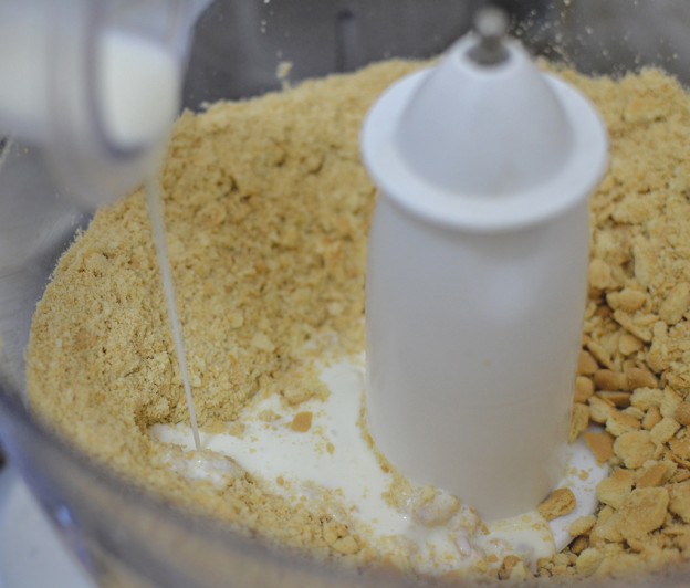 סניקרס טבעוני