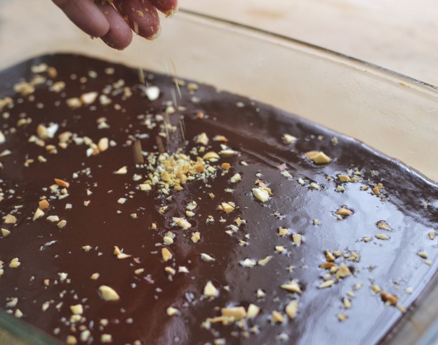 סניקרס טבעוני