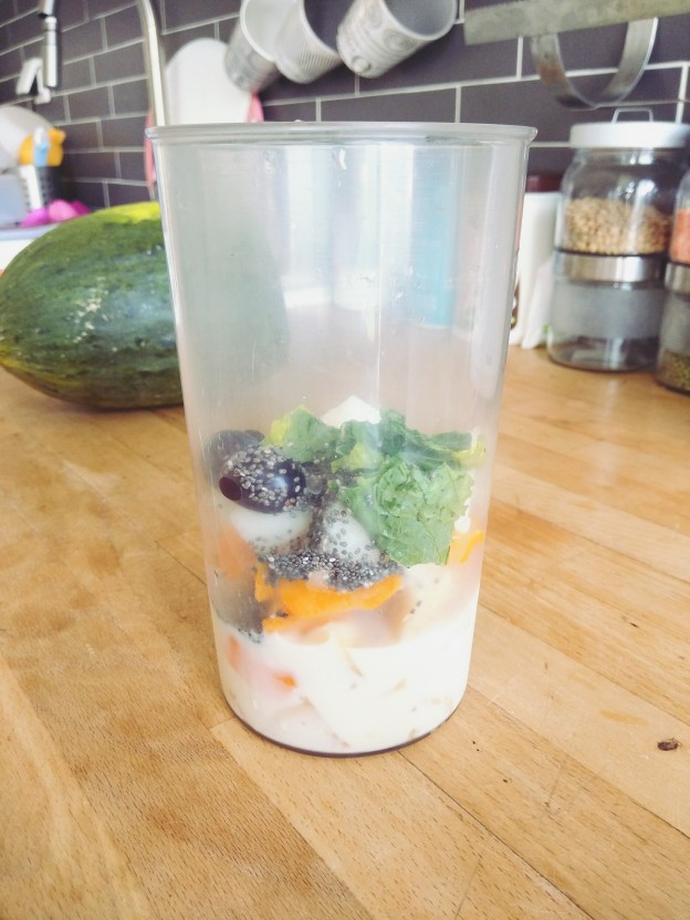 גלידה מפירות